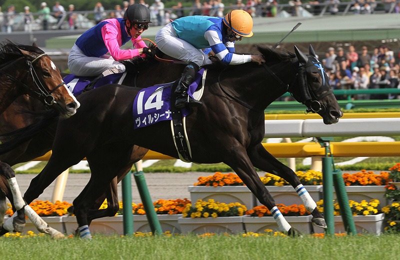 ヴィルシーナ｜名馬メモリアル｜競馬情報ならJRA-VAN