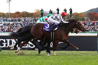 2024年 ジャパンカップ JRA