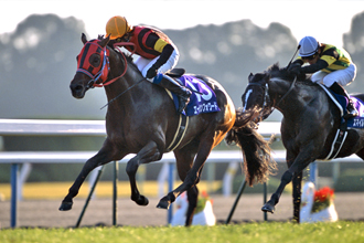 JRAホームページ｜データファイル｜競走成績データ