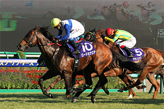 JRAホームページ｜データファイル｜競走成績データ