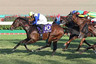 JRAホームページ｜データファイル｜競走成績データ