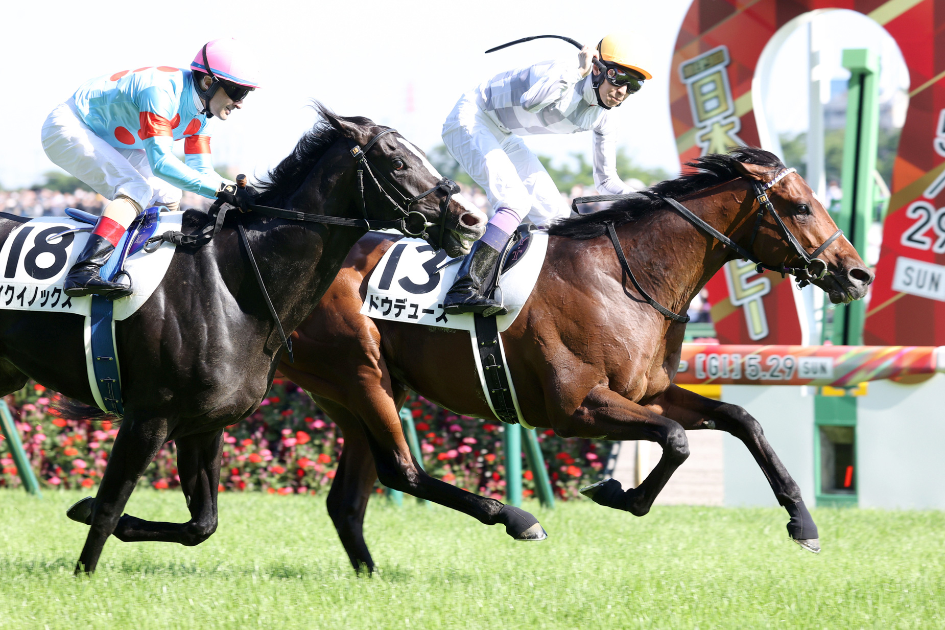 ドウデュース JRA