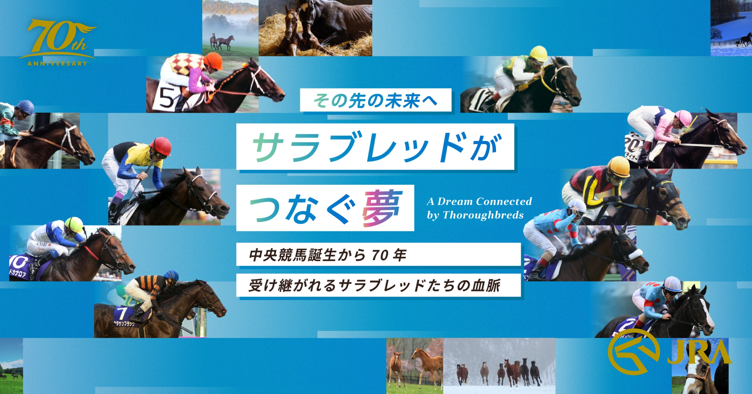 スキル＆クロワ・キタサンブラック継承ヒストリー ダービー】「クロワ