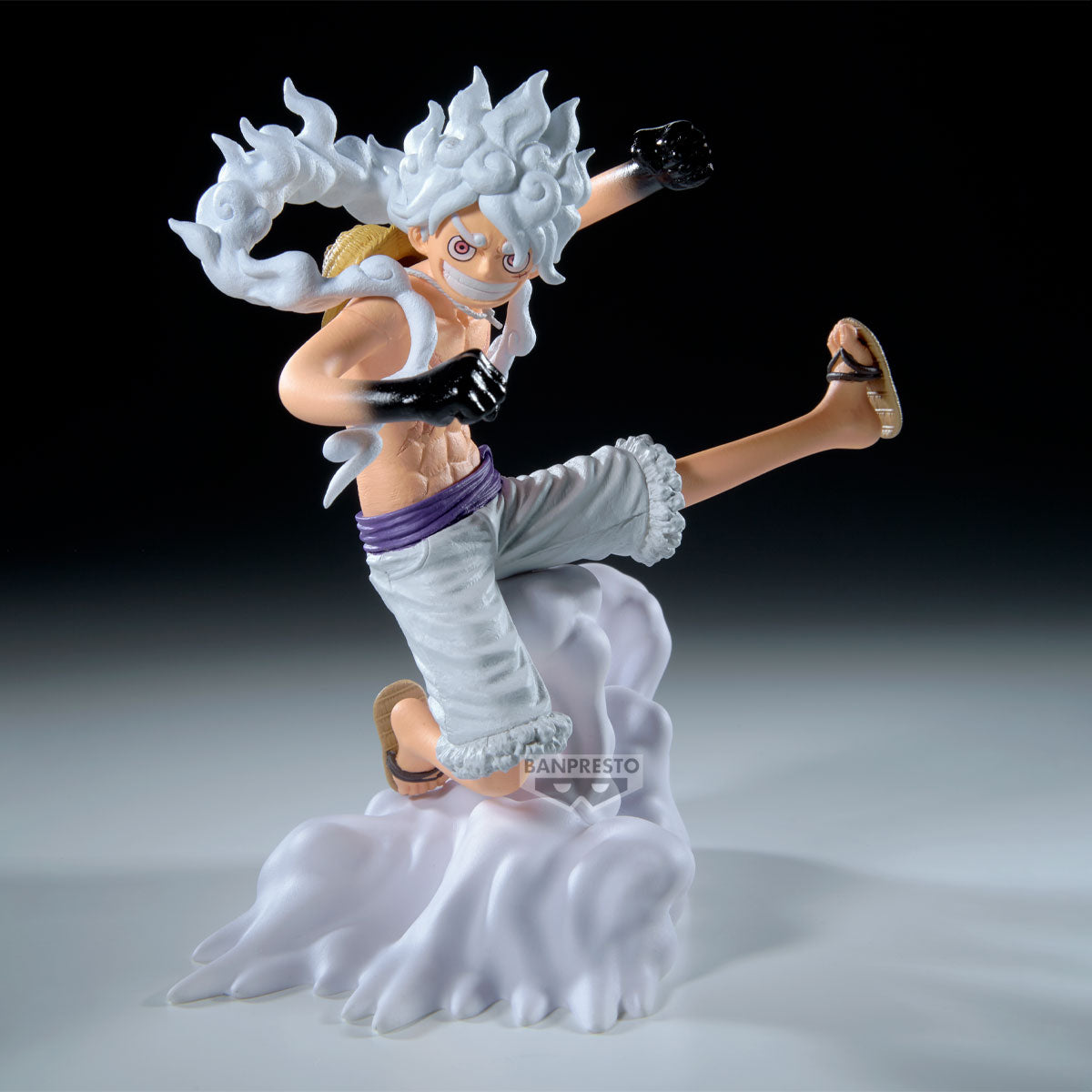 Ichiban Kuji One Piece Dramatic Memories - D Prize One Piece