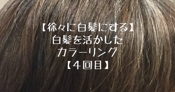 徐々に白髪にする】白髪を活かしたカラーリング【4回目