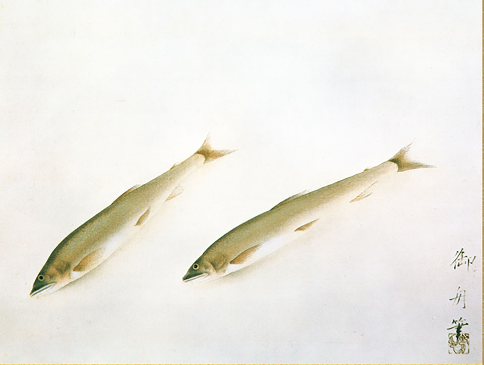 名画複製画掛け軸 鮎 速水御舟 – 寿鳳人形の東芸