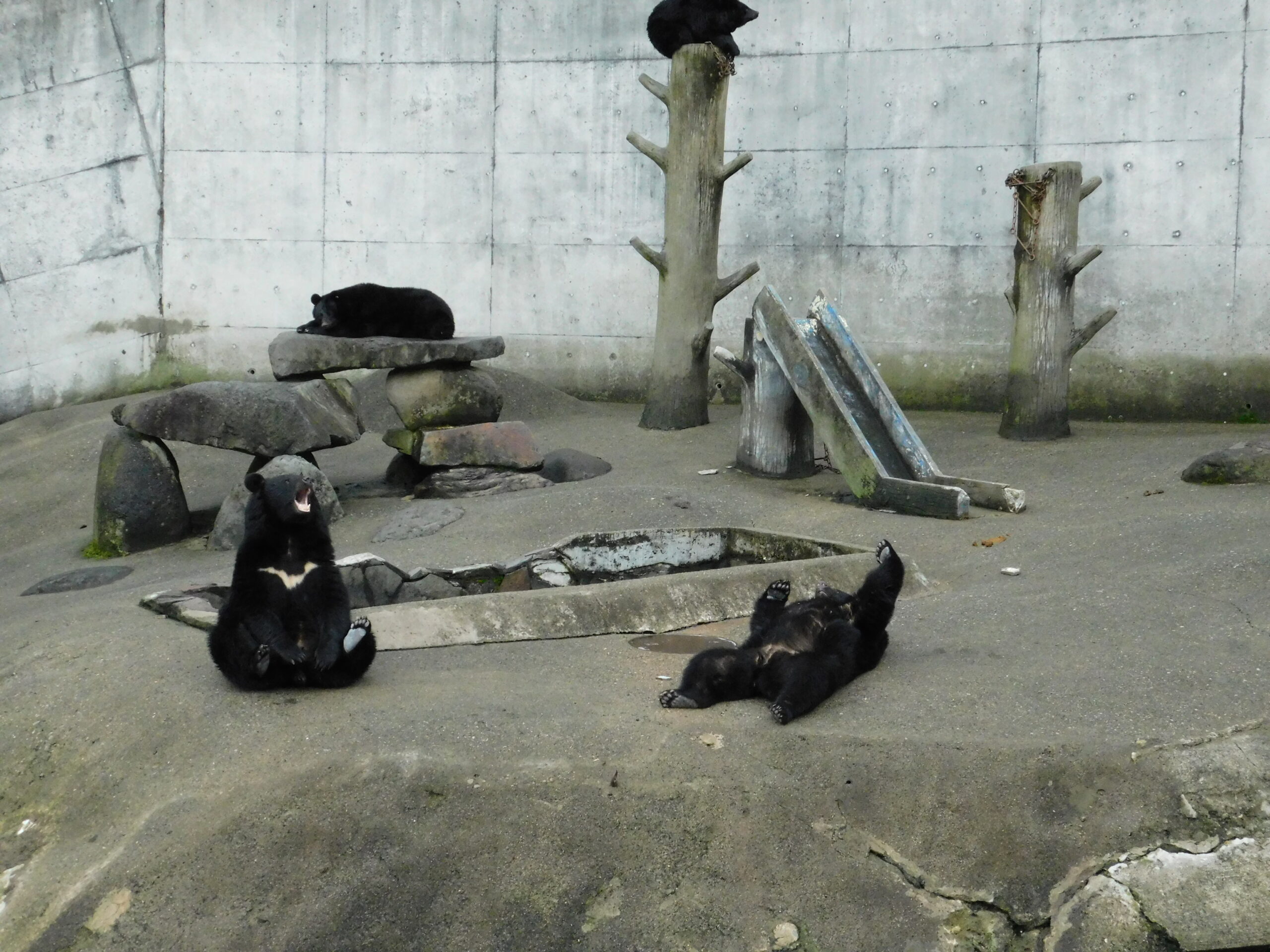 くまくま園 – 一般社団法人 北秋田まちづくり観光協会