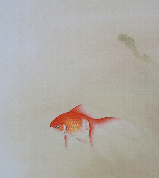 小林柏陽 金魚 | 掛軸(掛け軸)販売／表装ご依頼は掛軸いっぷく掛軸