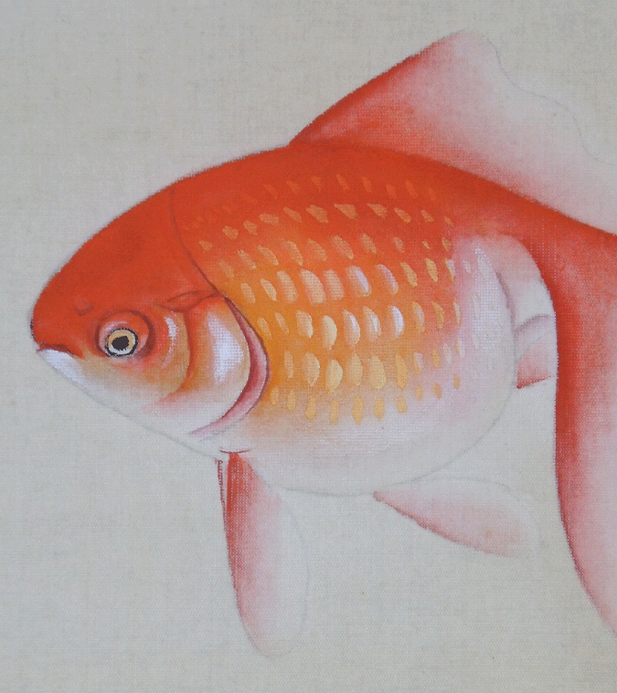 小林柏陽 金魚 | 掛軸(掛け軸)販売／表装ご依頼は掛軸いっぷく掛軸