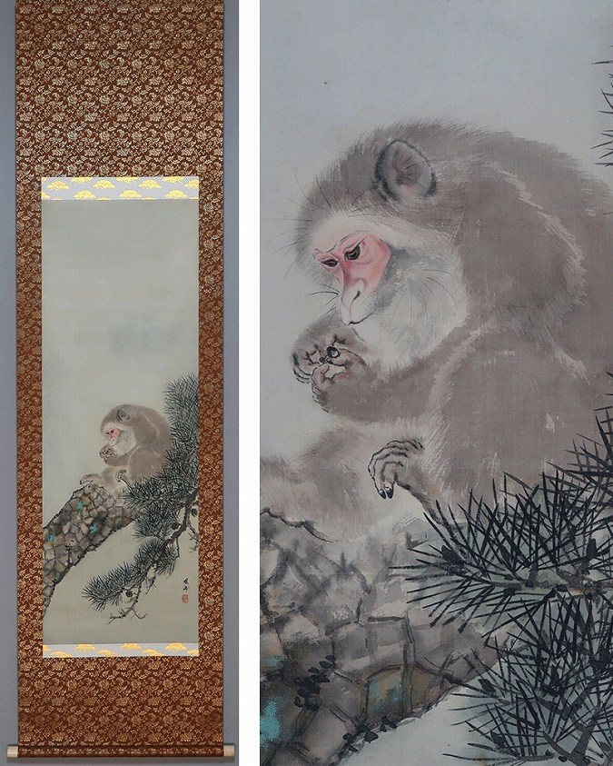 左海鳳洲 松上猿圖 | 掛軸(掛け軸)販売／表装ご依頼は掛軸いっぷく掛軸