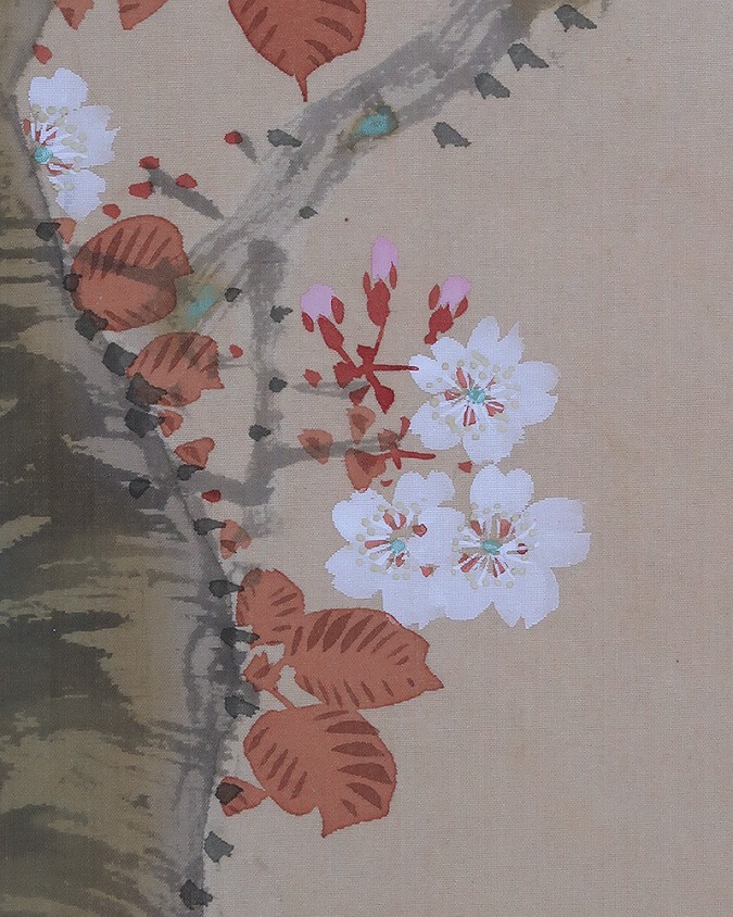 狩野梅斎 桜花双雉図 | 掛軸(掛け軸)販売／表装ご依頼は掛軸いっぷく