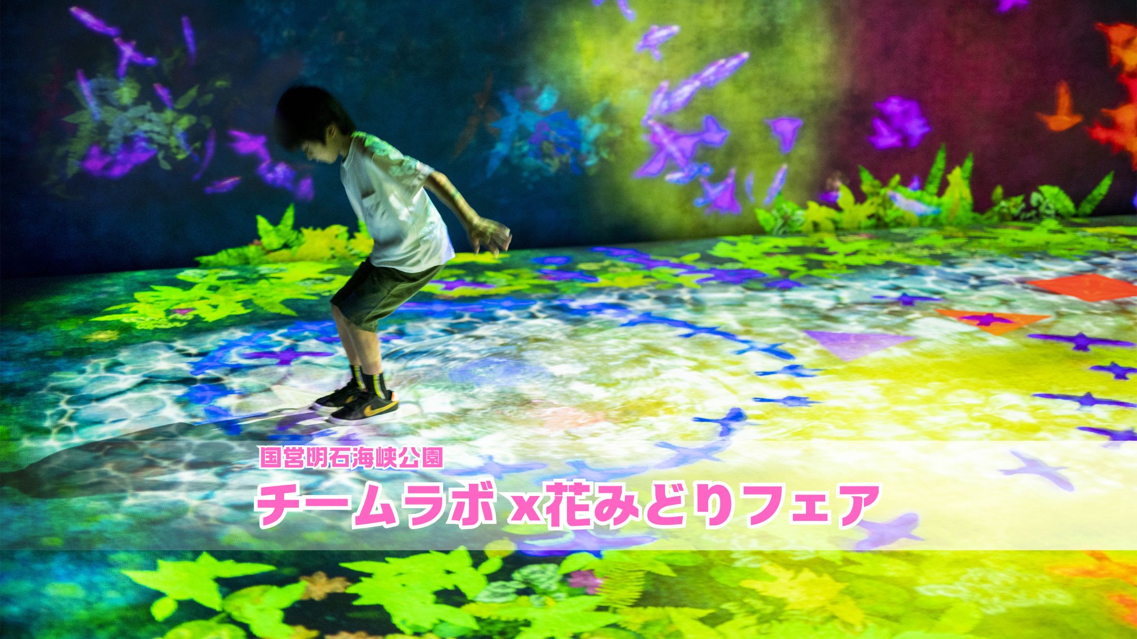 チームラボ」アート展示が「淡路花みどりフェア2025」淡路島国営明石