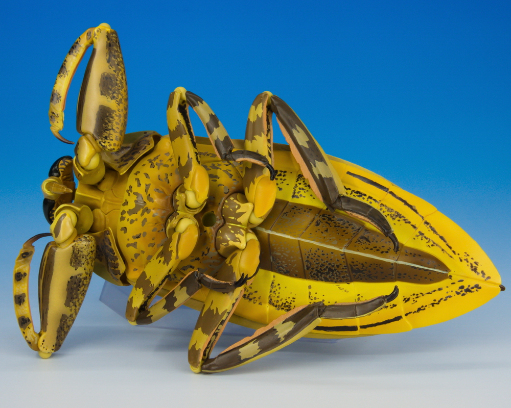 水中の最強捕食昆虫！ 「リボジオ タガメ」先行サンプルレビュー｜海洋