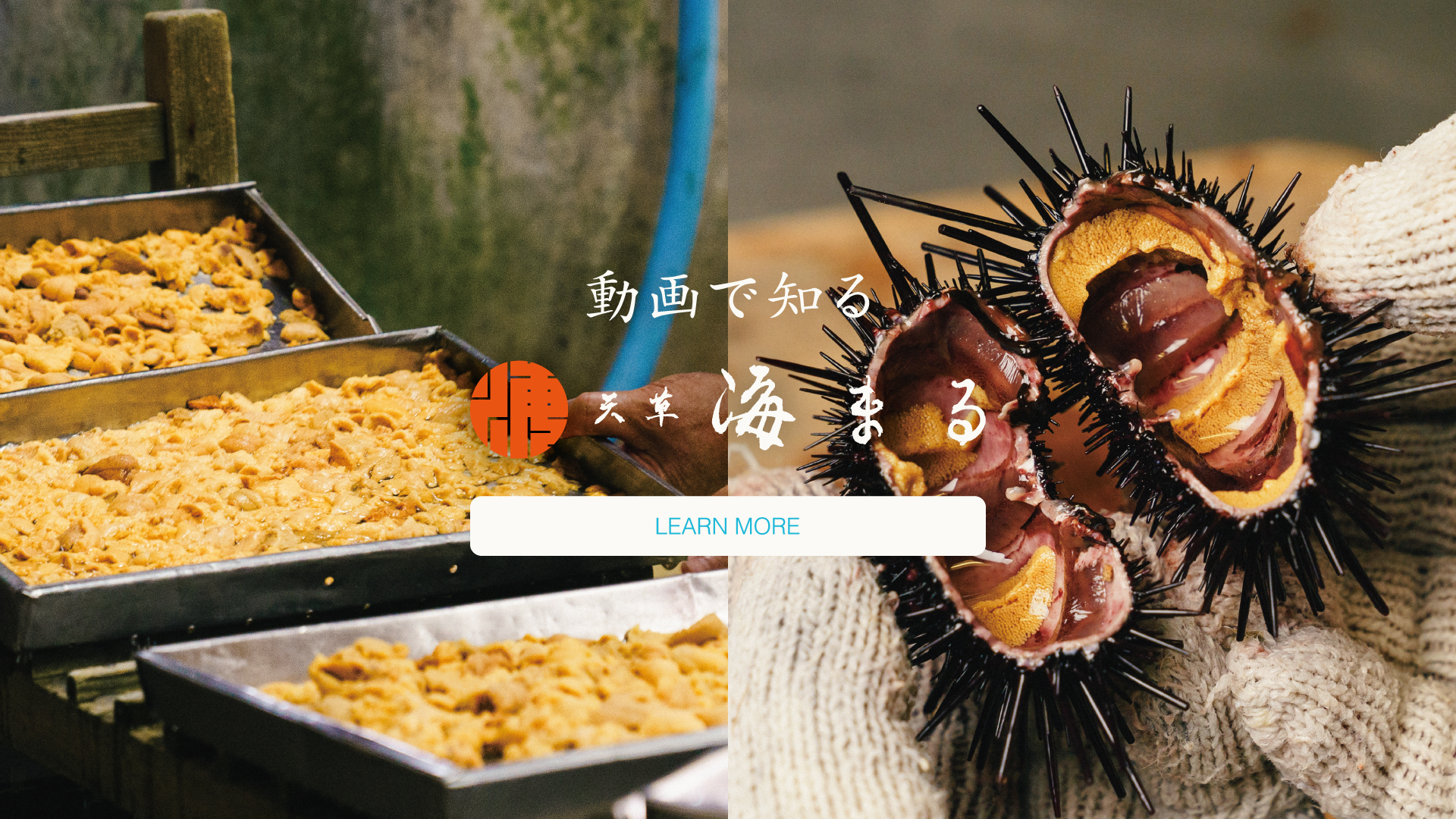 うにソース 120ml – 海まる