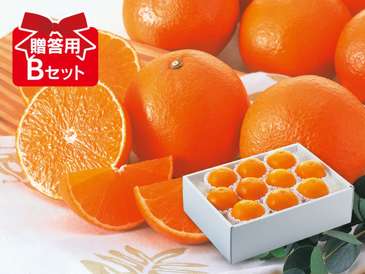 000000000598-04.jpg?size=xl&w=