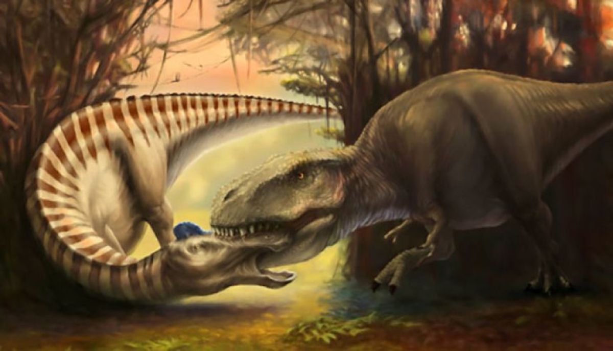 痛恨の一撃！ティラノサウルスの歯が顔面に突き刺さった状態の恐竜の