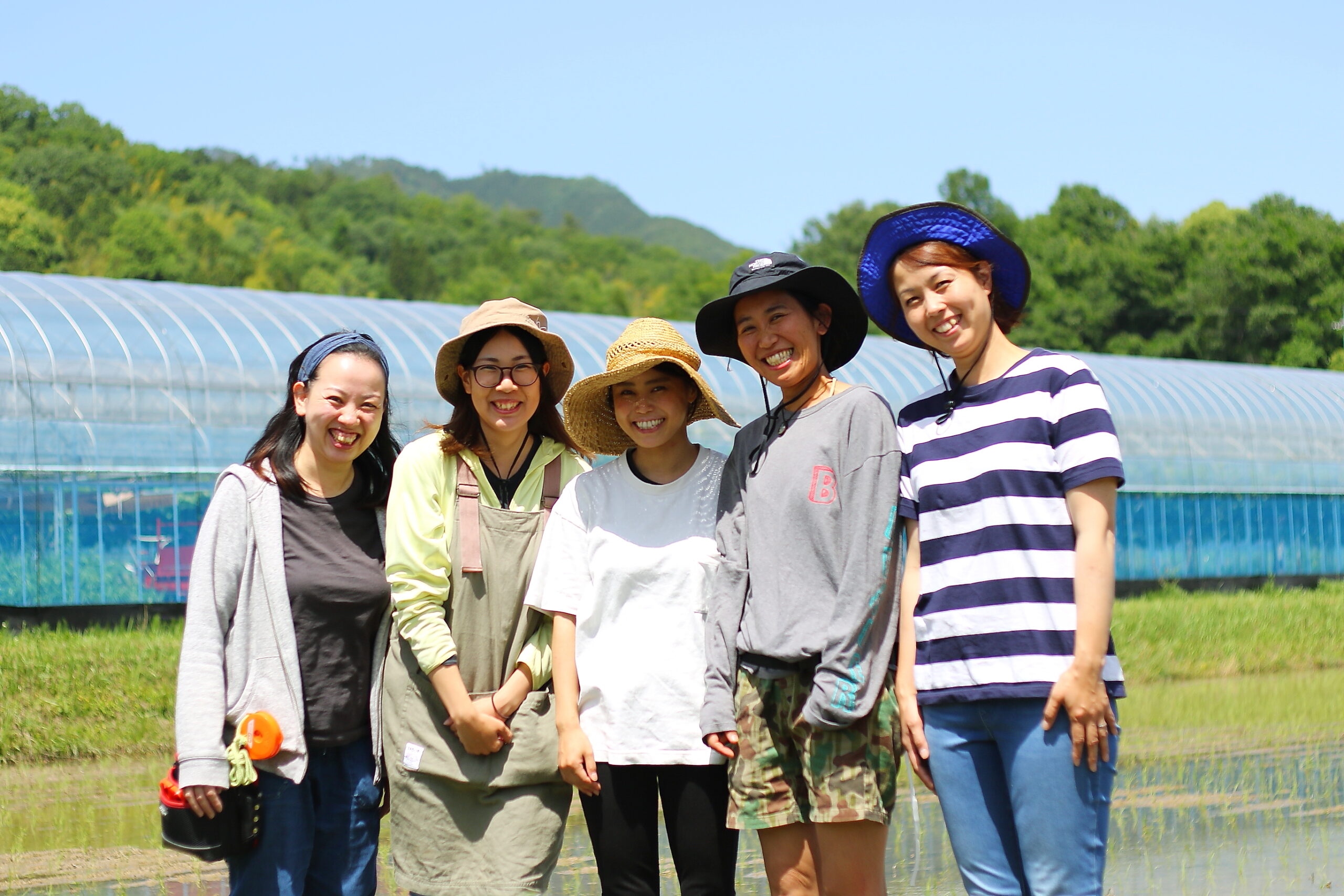今年も《ブドウの出荷》始まっています！ | 株式会社 勝山組