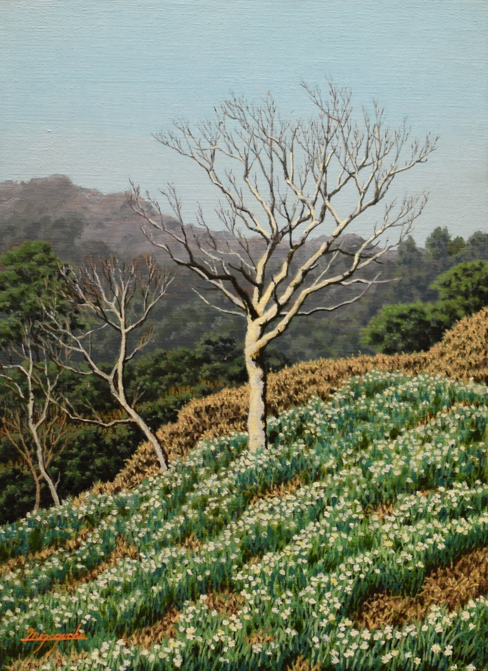 溝口七生（みぞぐちかずお） – Kazuo Mizoguchi Museum