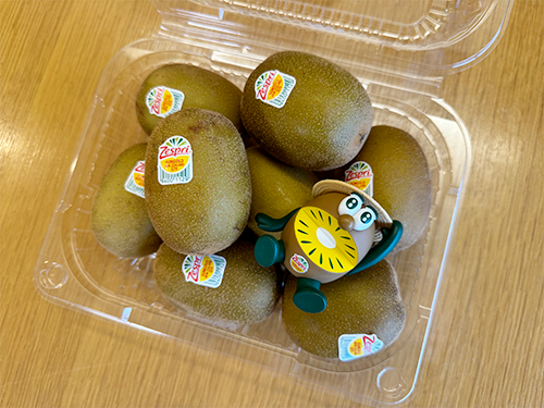 数量限定】ゼスプリ キウイブラザーズフィギュア付きパック販売中