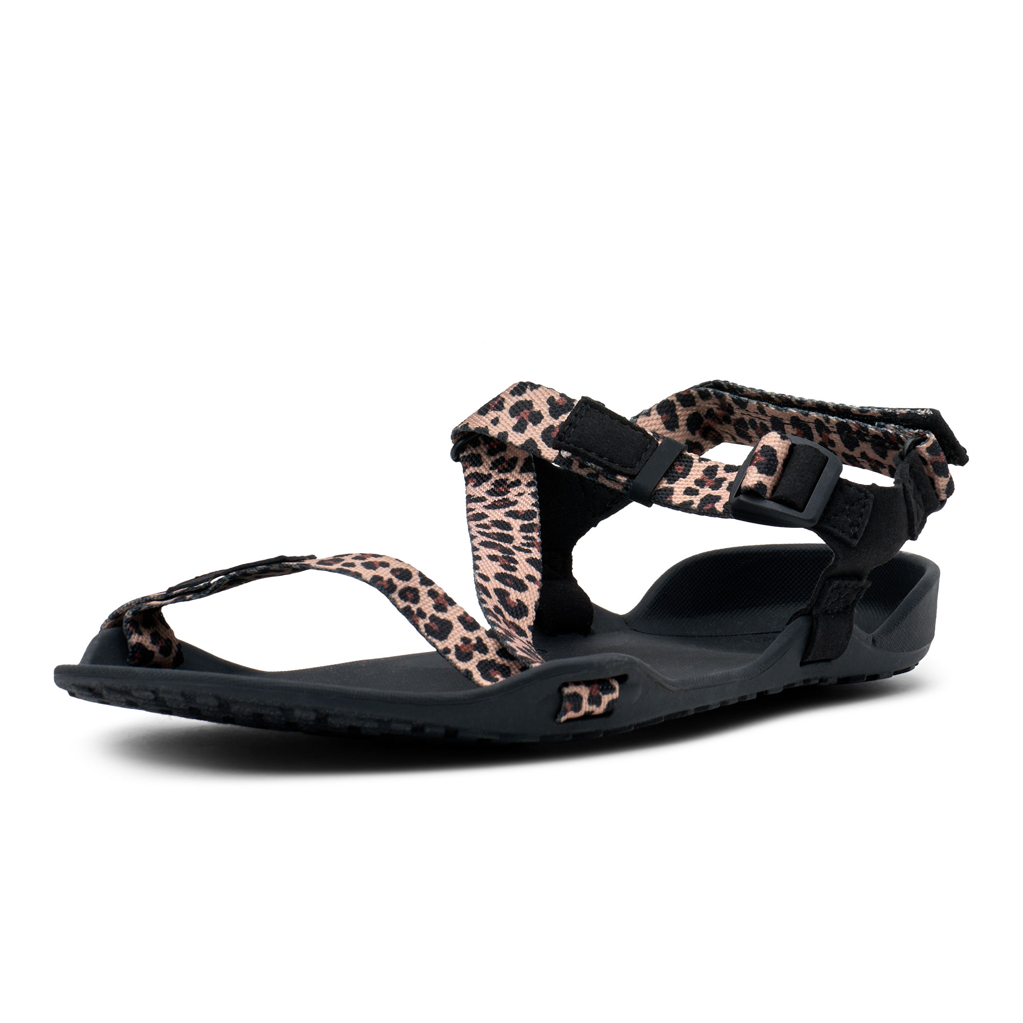 株式会社ケンコー社 / W's Z-トレック