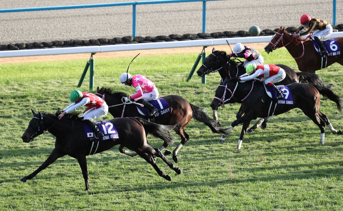 特集（2025年12月14日 阪神11R 第77回阪神JF）- スポニチ競馬Web