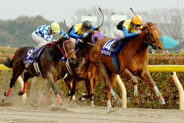 カネヒキリ ～屈腱炎、骨折……幾たびの大けがを乗り越えた不屈のダート
