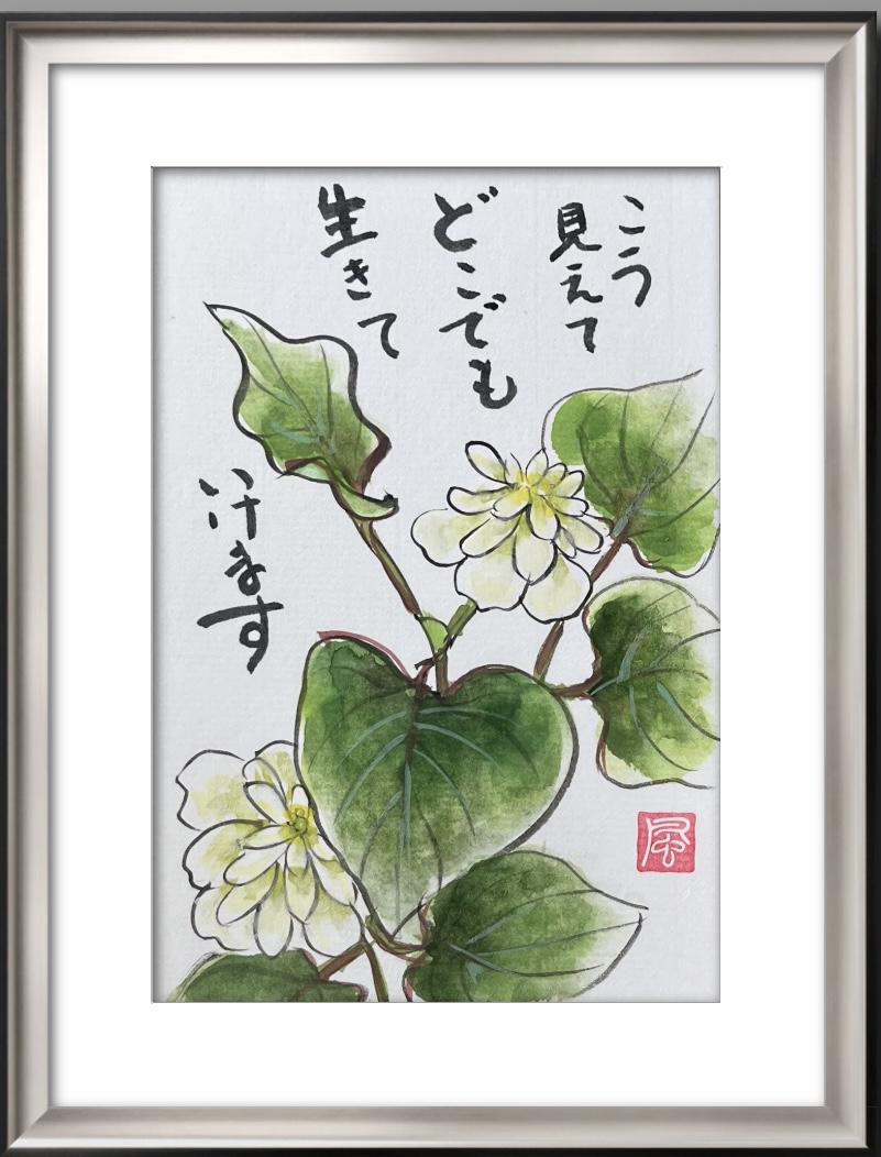 顔彩で描く絵手紙シリーズ】八重咲きドクダミの描き方：ドクダミ茶には