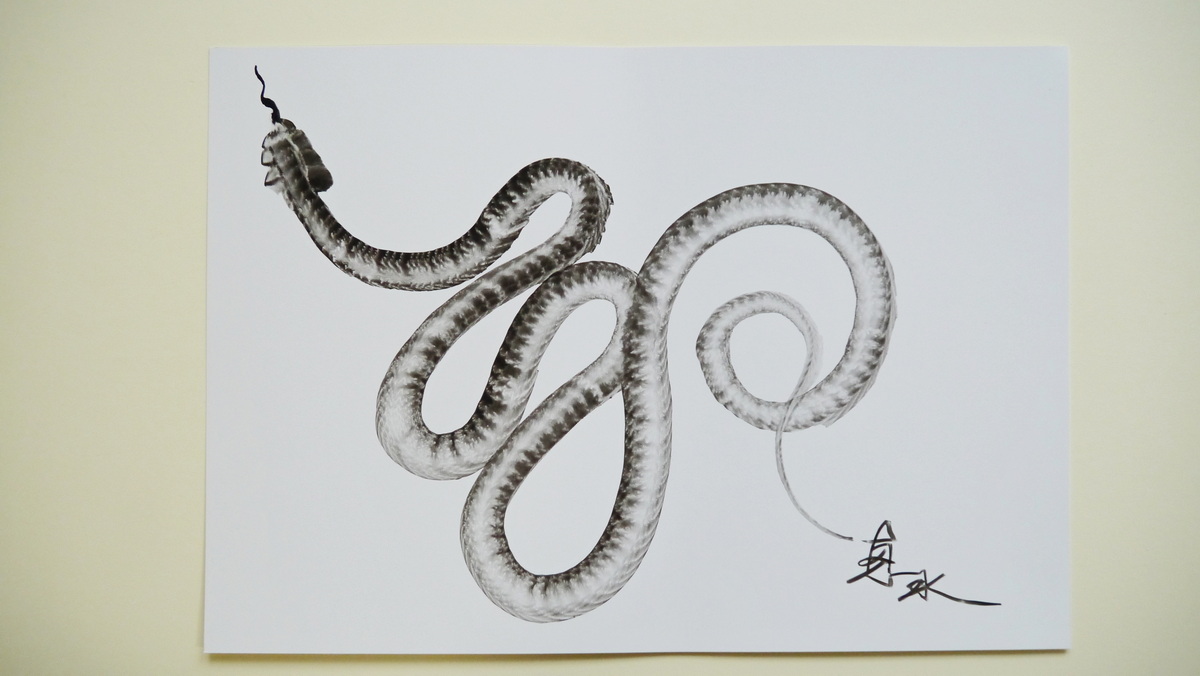 太めの一筆蛇のほうが、後利益がありそうでいいかも。 – KEISUI ART STUDIO