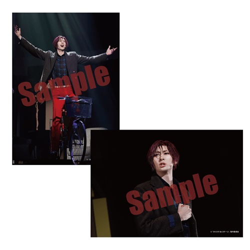 カリスマ DVD ライブ 円盤 セット カリスマ DVD 2024 ライブ 円盤