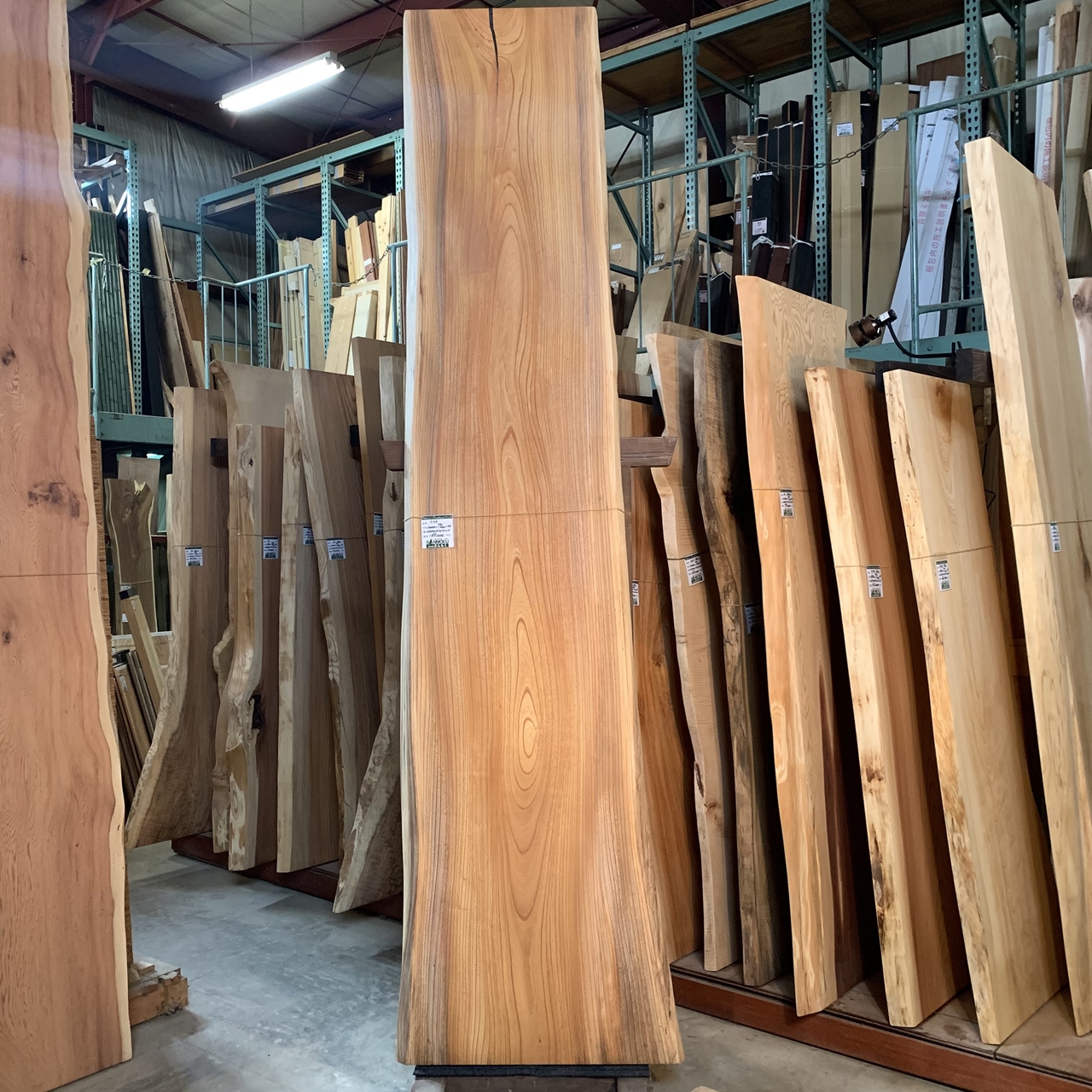 けやき一枚板 3000×560~700×46㎜ | 一枚板xオイル仕上げの専門店｜木の
