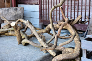 ツル アーカイブ - 森の花屋 kicorico