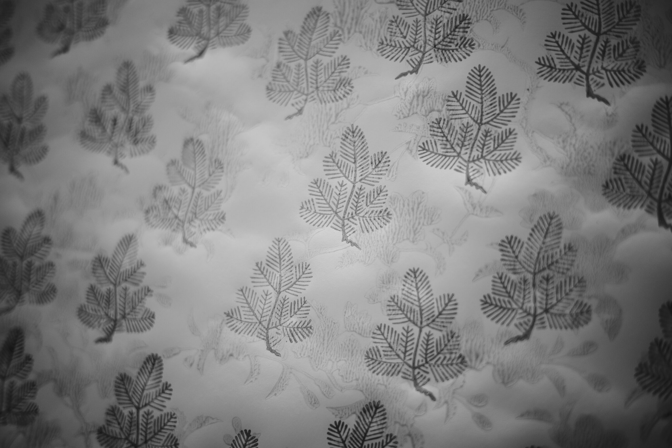 Karacho Honten and Kira Karacho