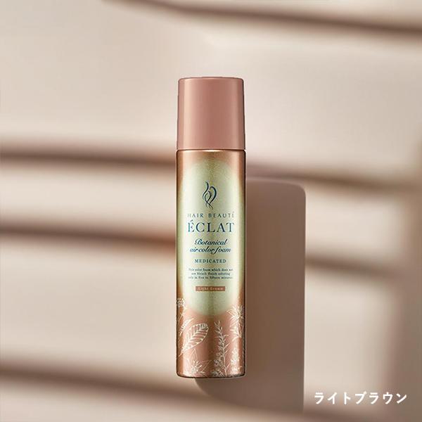 ヘアボーテ エクラ ボタニカルエアカラーフォームEX 白髪染め 手軽