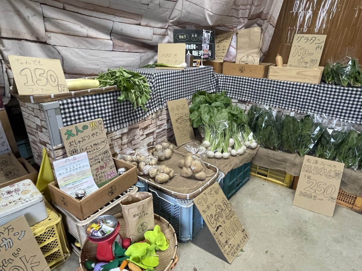 松浦ファームの「若松野菜無人販売所」に行ってみた 苦手な野菜が好き