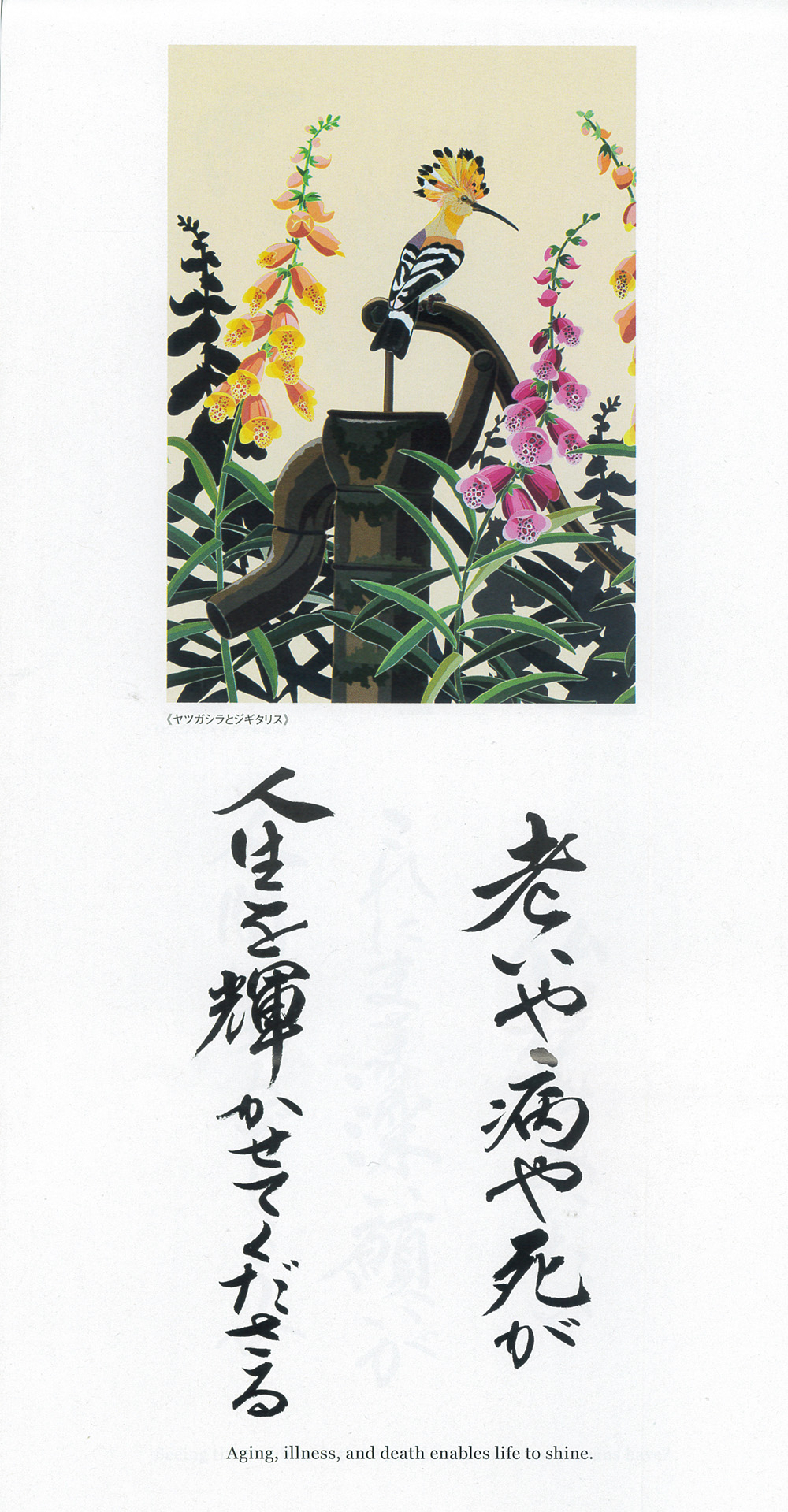 お知らせ | 光明寺 浄土真宗本願寺派（西本願寺） | 山口県下関市に