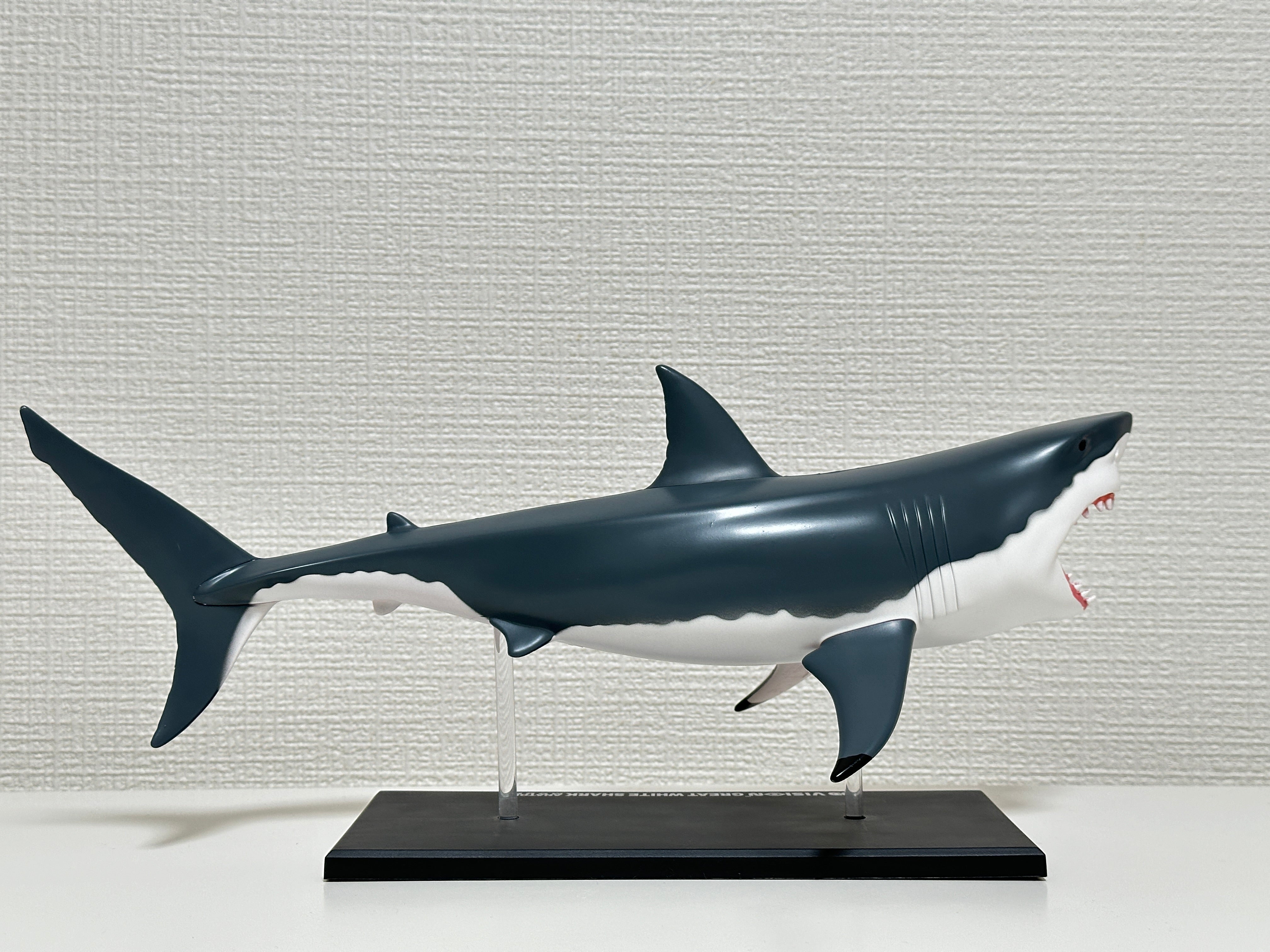 4D Master 622028 Great White Shark ホホジロザメ 解剖モデル