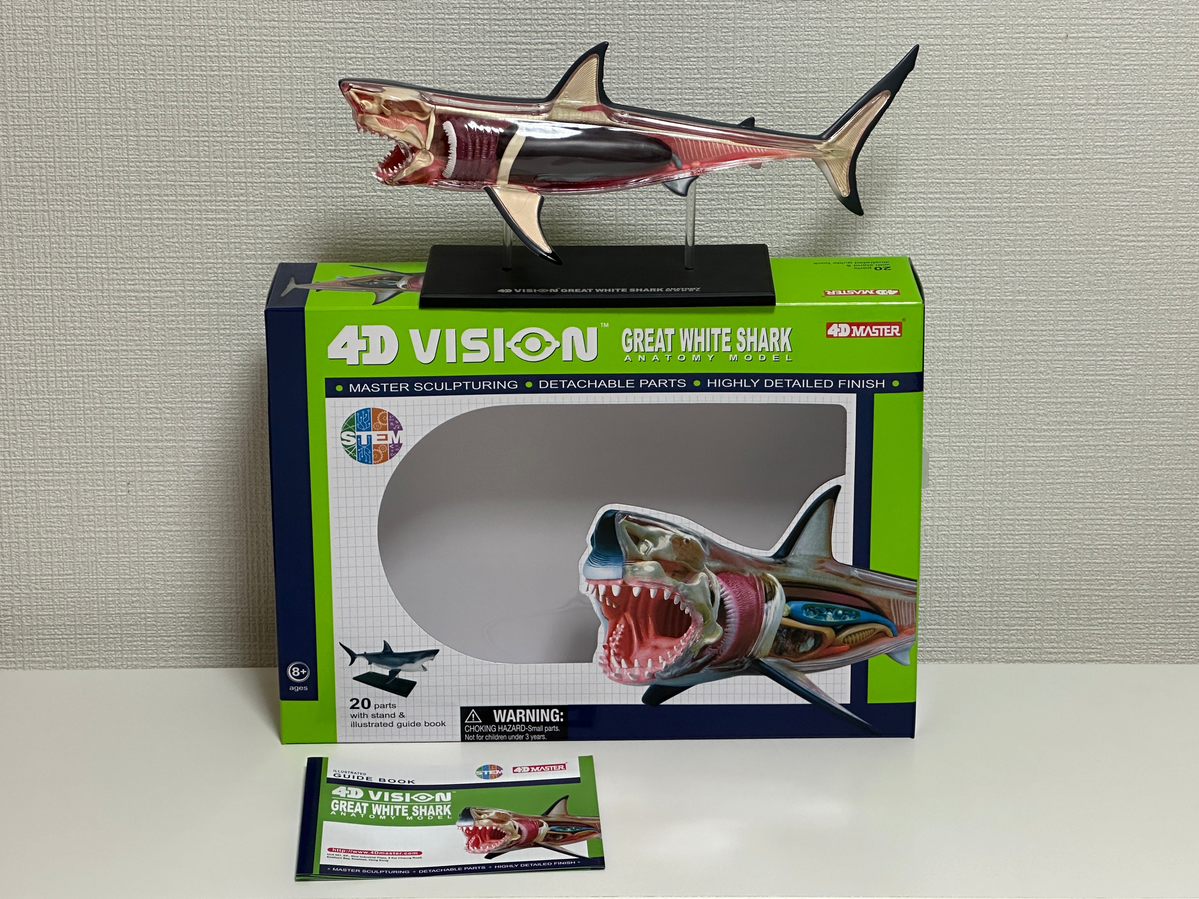 4D Master 622028 Great White Shark ホホジロザメ 解剖モデル