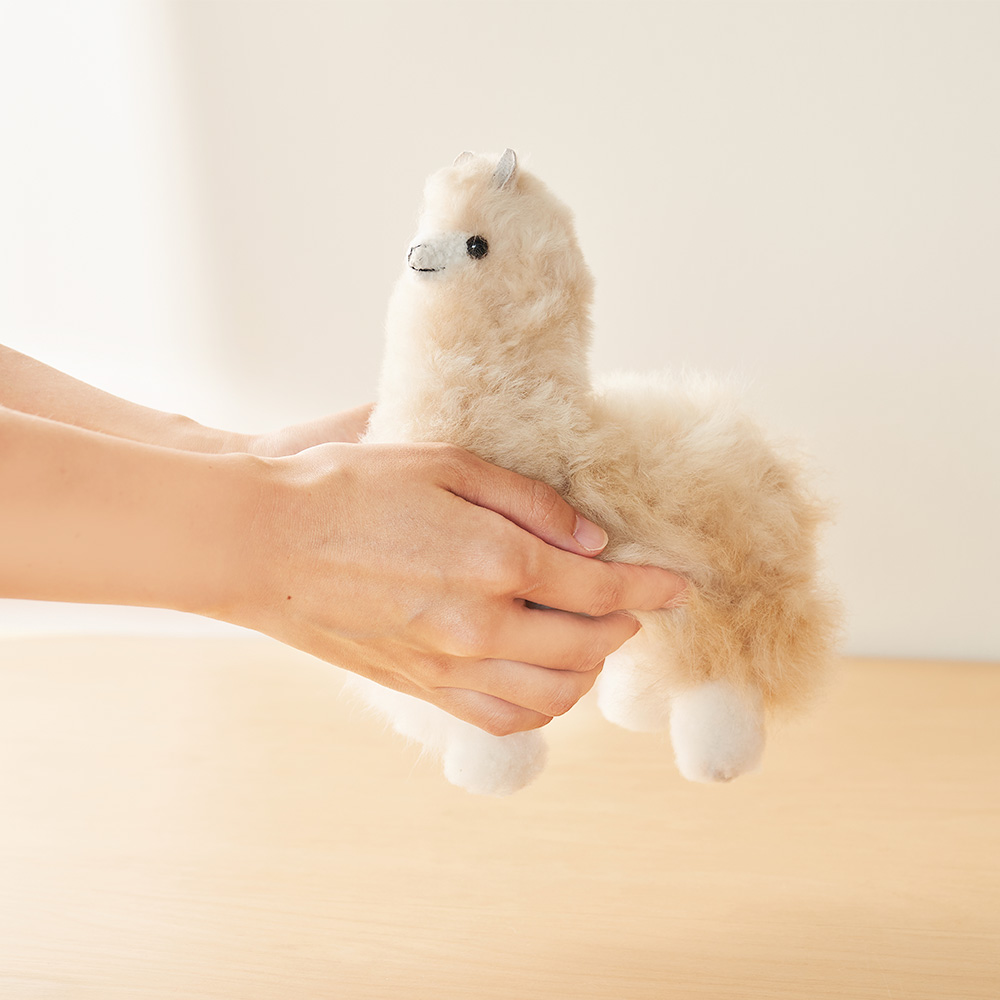 elvang｜アルパカ テディ 20*20 | KONCENT Web shop｜アッシュ