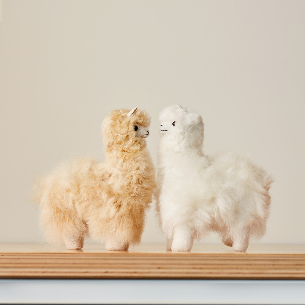 elvang｜アルパカ テディ 20*20 | KONCENT Web shop｜アッシュ