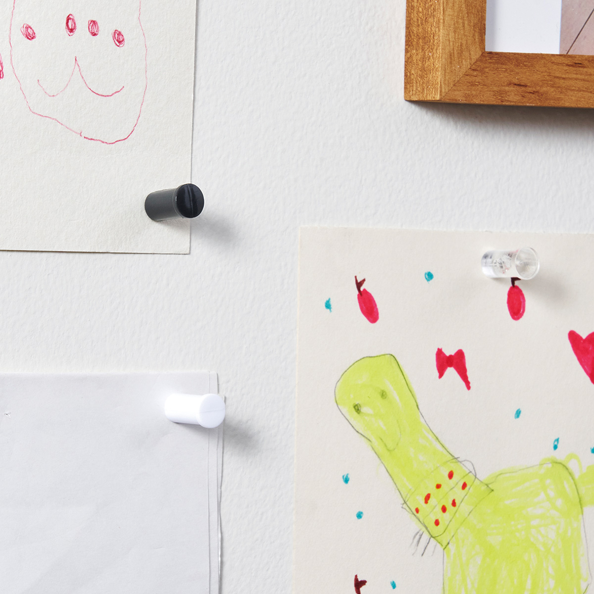 d｜ニンジャピン スタンダード 12個入 | KONCENT Web shop｜アッシュ