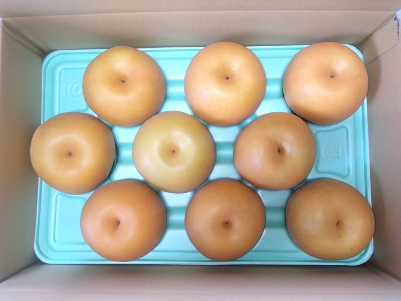 🍐【今季販売終了】新高（にいたか）梨｜完熟もぎたて【次回は2026年9