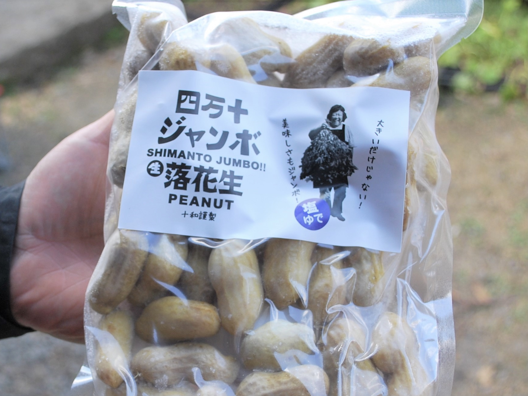 Back To 高知家の2021！2倍サイズのピーナッツ「四万十ジャンボ落花生