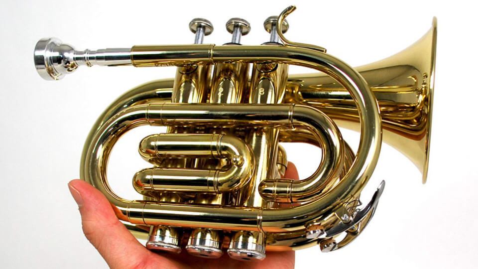 激安ポケットトランペットって実際どうなの！？音色、使い心地など