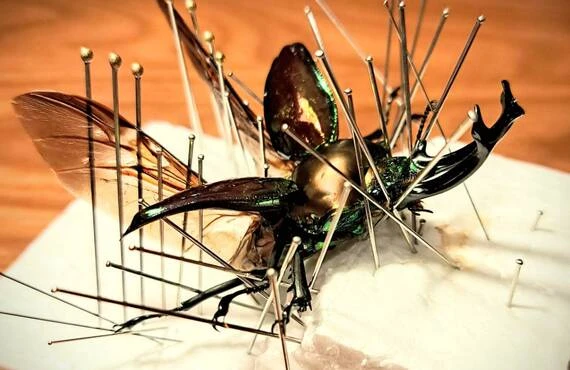 ウエストウッディオオシカクワガタ」その魅力と価値を引き出す芸術的