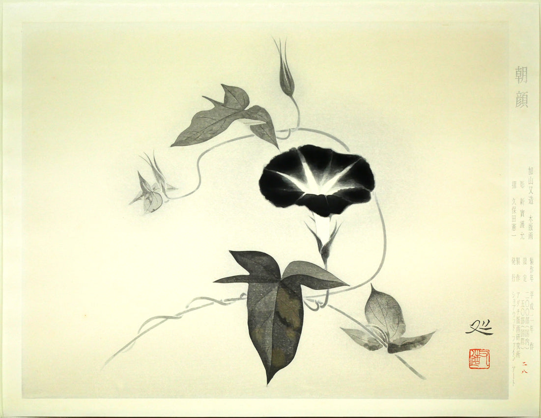 加山又造「朝顔」木版画 絵画買取・販売の小竹美術