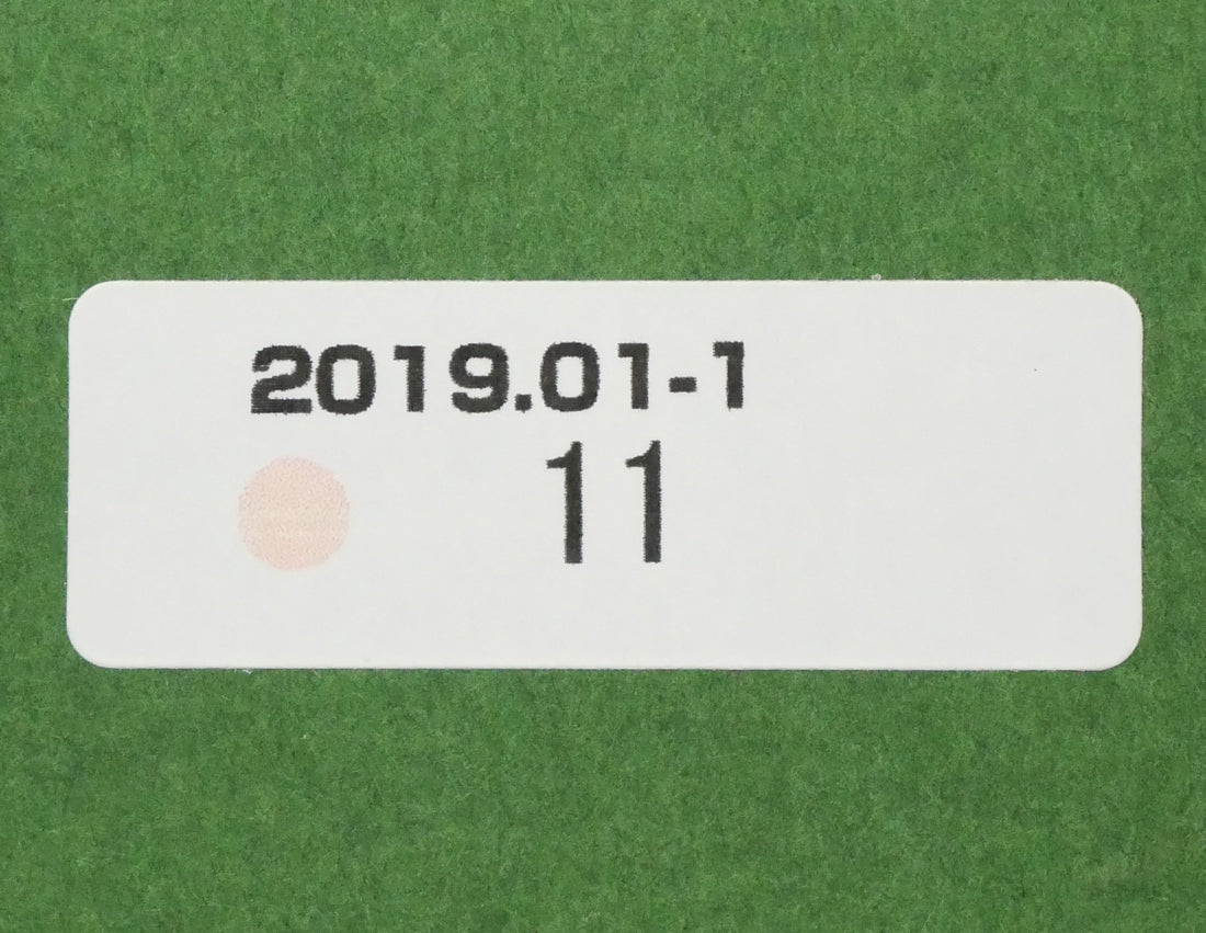 酒井芳元「北海道庁」水彩画・10号 絵画買取・販売の小竹美術