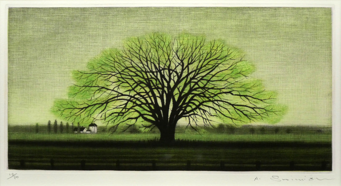 清水敦「はるにれ」銅版画（カラーメゾチント） 絵画買取・販売の小竹美術