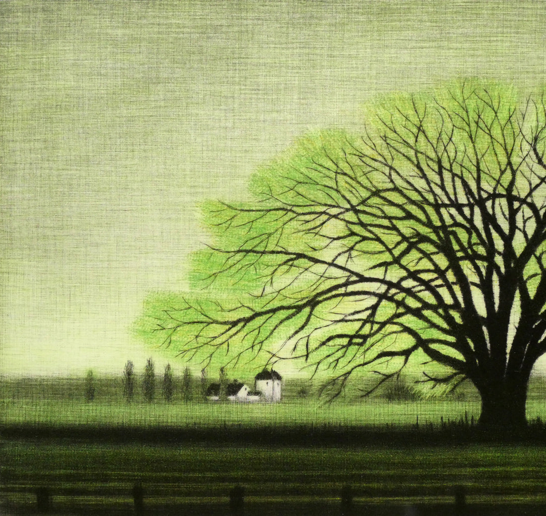 清水敦「はるにれ」銅版画（カラーメゾチント） 絵画買取・販売の小竹美術