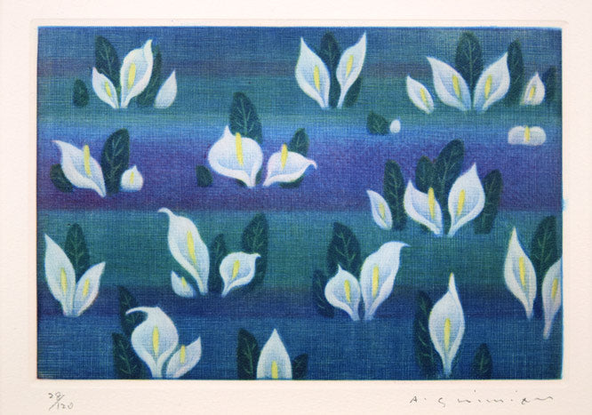 清水敦「水芭蕉」銅版画（カラーメゾチント） 絵画買取・販売の小竹美術