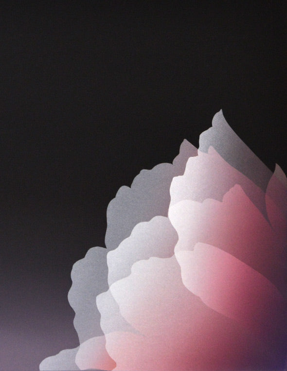 井上公三「LES GRANDES ECLOSIONS」シルクスクリーン版画 絵画買取